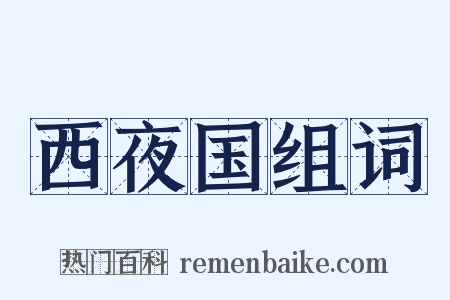西夜国组词是什么意思的图片